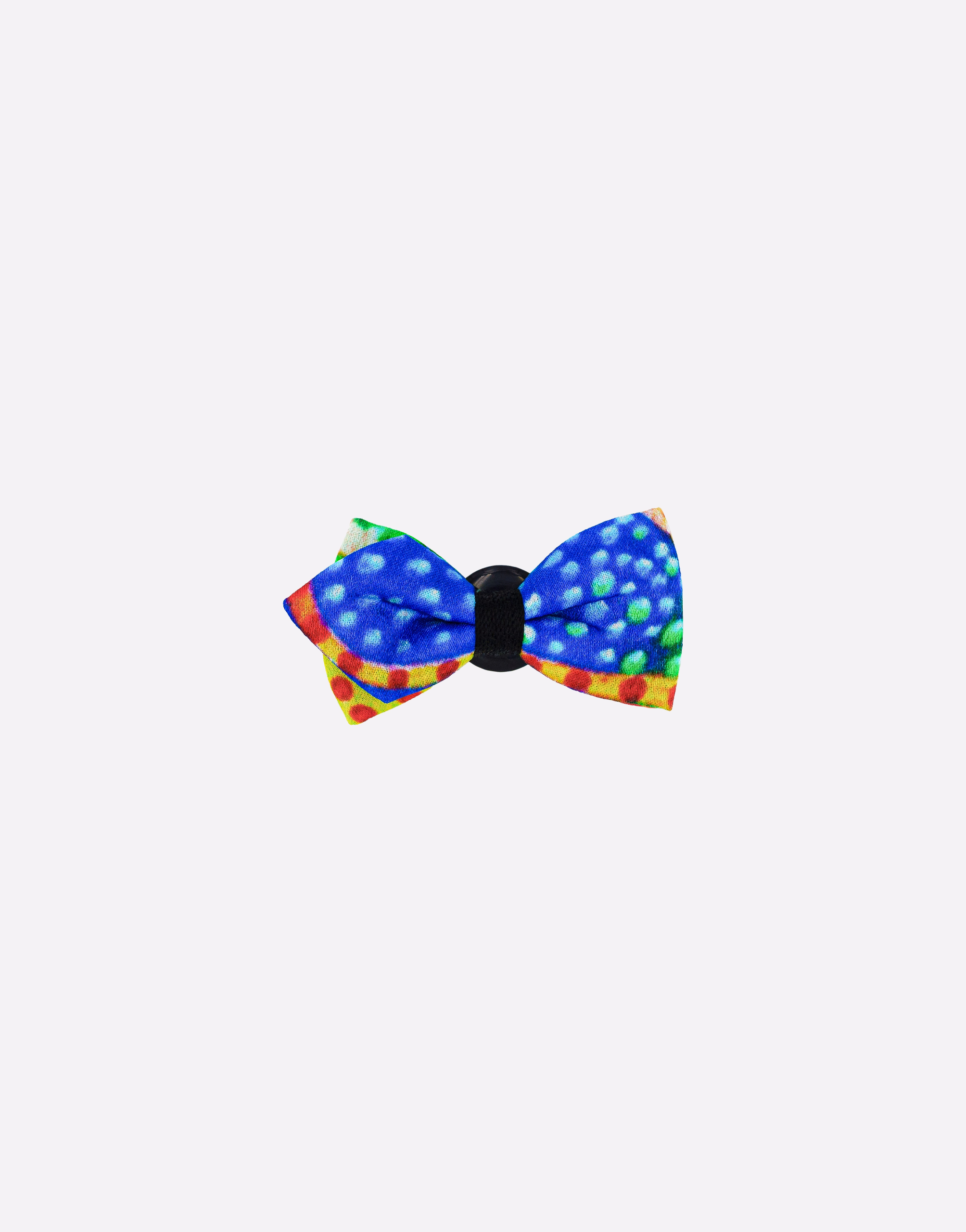mini-papillon-asola-drago-blu-in-seta-davide-cristofaro-online-store Mini Papillon Drago blu Seta - immagine 1